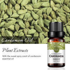 Rainbow Abby Cardamom Essential Oil 2x10ml amber bottles front and back