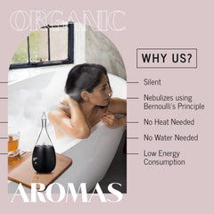 Nebulizing diffusion of essential oils without water