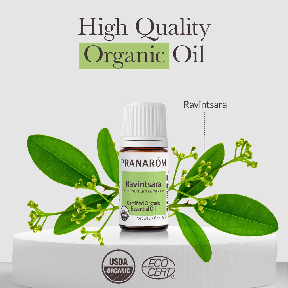 Topical use of Ravintsara essential oil with a carrier oil on neck and chest
