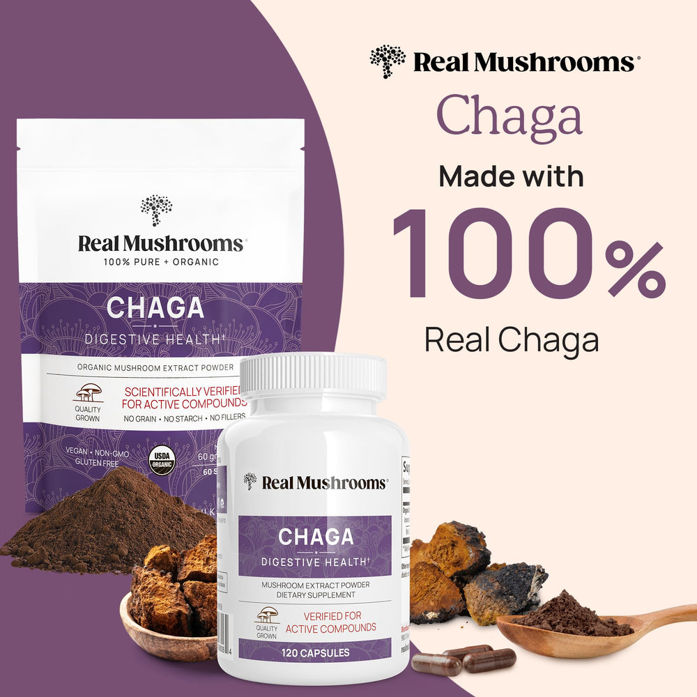 Real Mushrooms Chaga capsules close-up showing purity and potency.