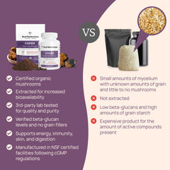 Real Mushrooms Chaga used in coffee or smoothie for daily ritual.