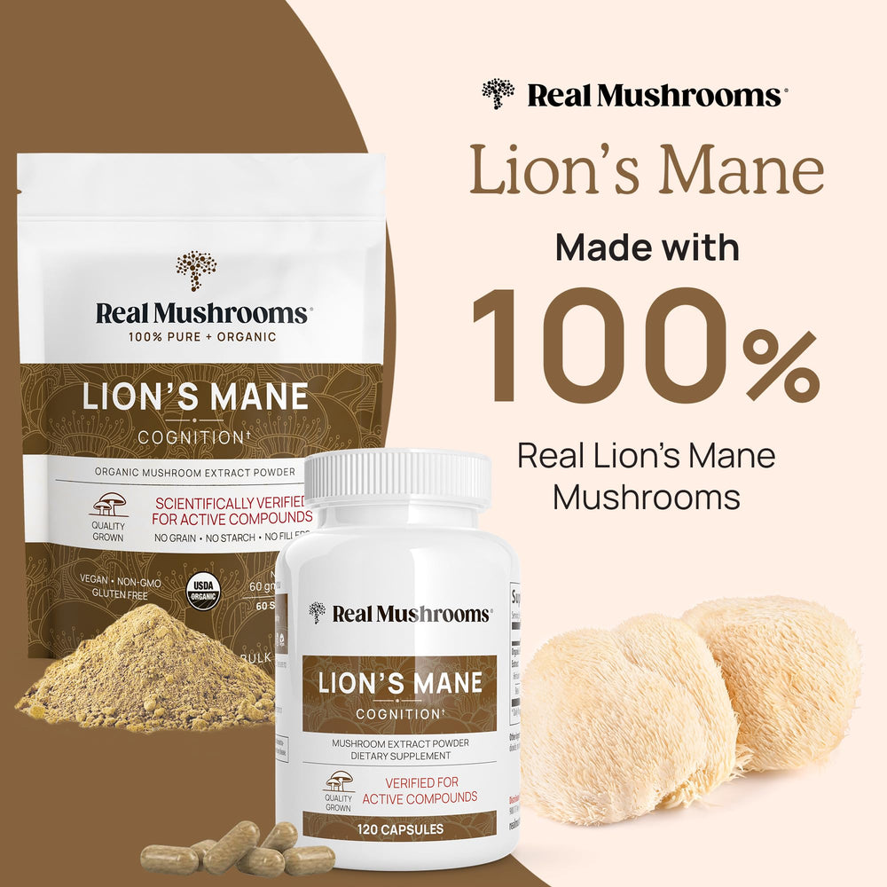Close-up of Lion’s Mane fruiting body extract