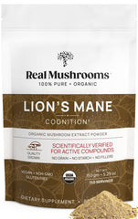 Real Mushrooms Lion’s Mane powder hero image showing pure fruiting body extract