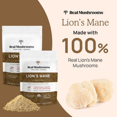 Close-up of organic Lion’s Mane powder texture