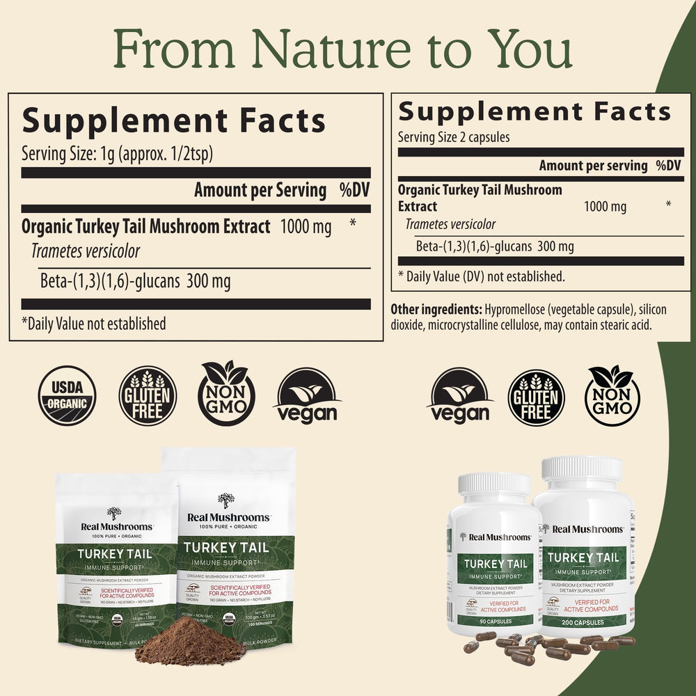 Scoop of Real Mushrooms turkey tail powder for easy daily use