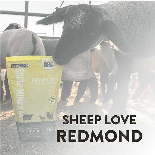 Utah sea minerals concept for Redmond supplement