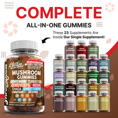 Blend of Reishi, Chaga, Agaricus, Shiitake and Tremella mushrooms