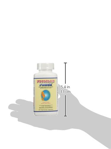 Reishi mushroom extract included in Fucoidan Force