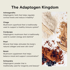 Reishi powder paired with dark chocolate