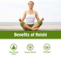 Reishi Powder in Smoothies and Recipes