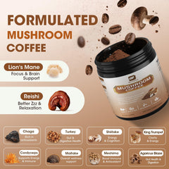 Reishi, Turkey Tail, Chaga and Cordyceps mushrooms