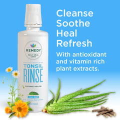 Aloe vera, licorice, chamomile ingredients close-up