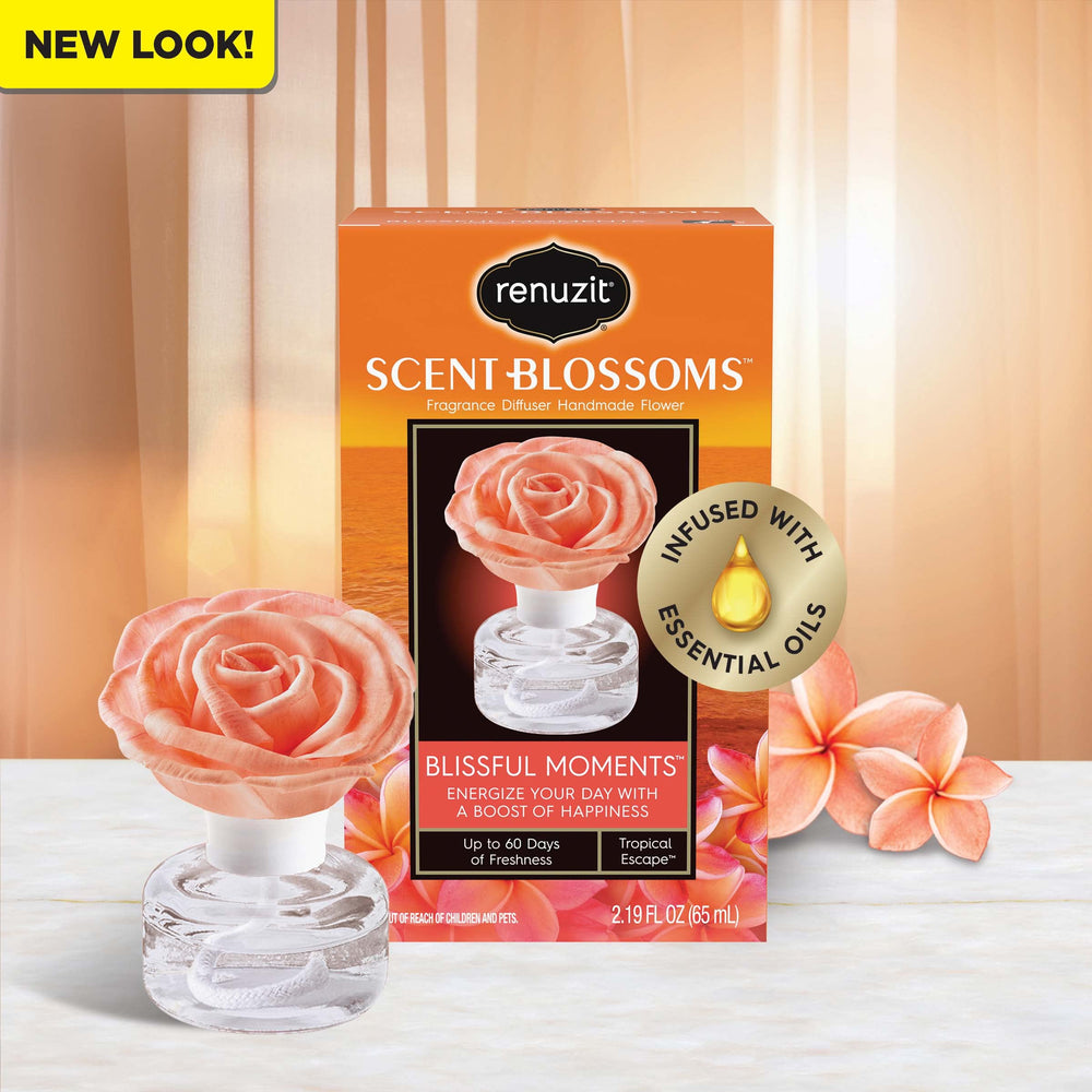 Fragrance diffuser packaging and product display