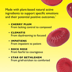 Pastilles for on the go stress relief
