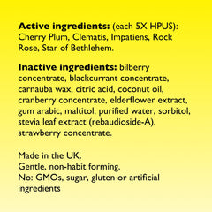 Tin of Rescue Bach PASTILLES Mixed Berry on a surface