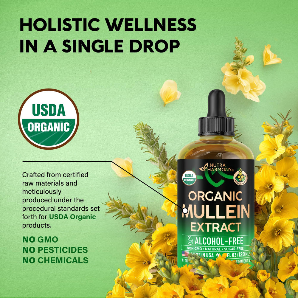 Respiratory health support with mullein extract