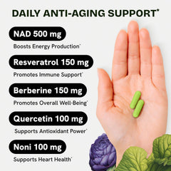 Ingredients: NAD, Resveratrol, Berberine, Quercetin and Noni