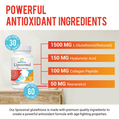 Formulation highlights: resveratrol, collagen peptide, and hyaluronic acid