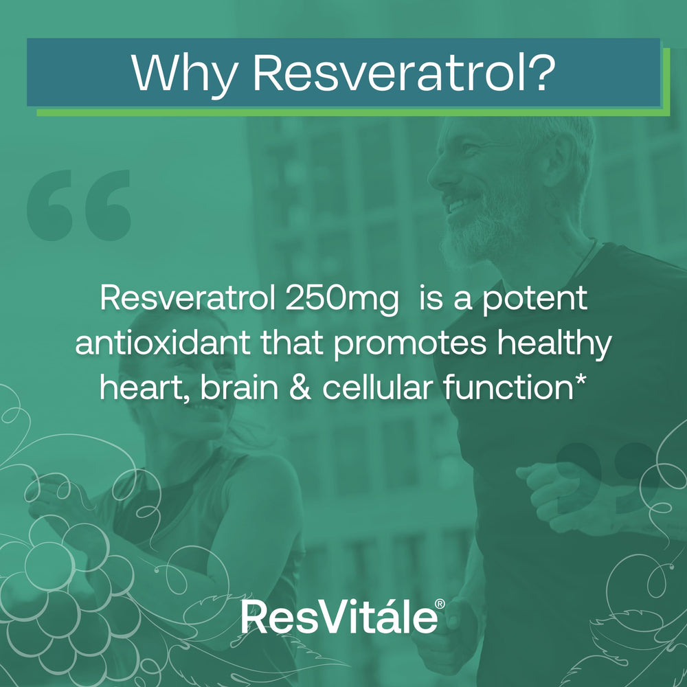 Wildcrafted Japanese knotweed used in ResVitále Resveratrol