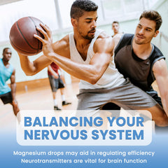 Omega-3 and L-Theanine components in ReviNutra magnesium drops