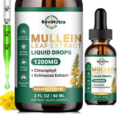 Bottle of ReviNutra Mullein Drops for Lungs against a white background (hero image)