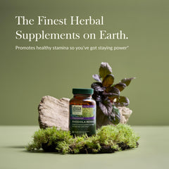 Rhodiola Rosea root extract sustainability program in Europe