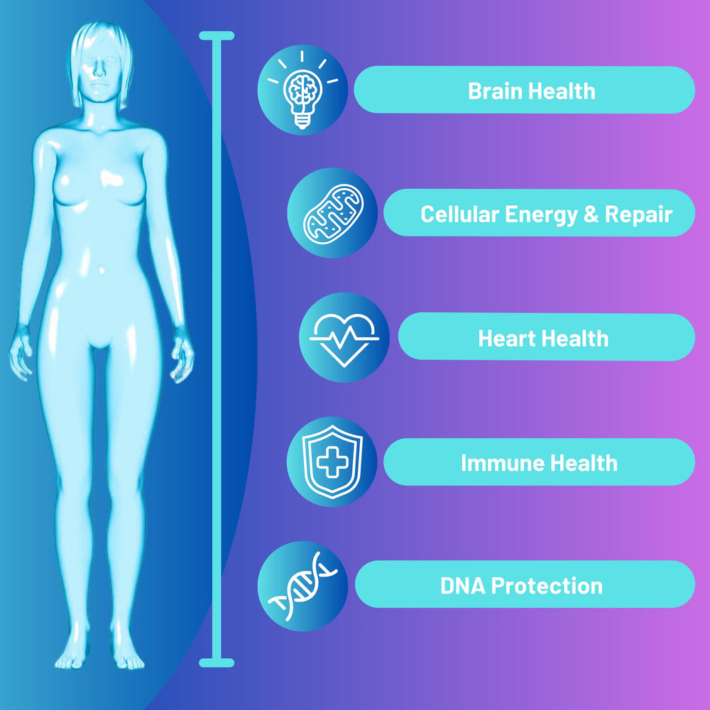 RiboYOUNG NR nicotinamide riboside patent-pending ingredient