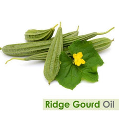 Unopened Ridge Gourd Carrier Oil bottle 15 ml - Cold Pressed