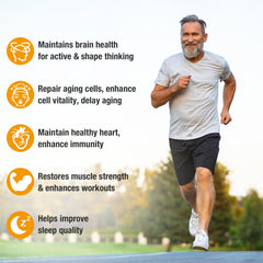 Healthy aging and brain function concept image