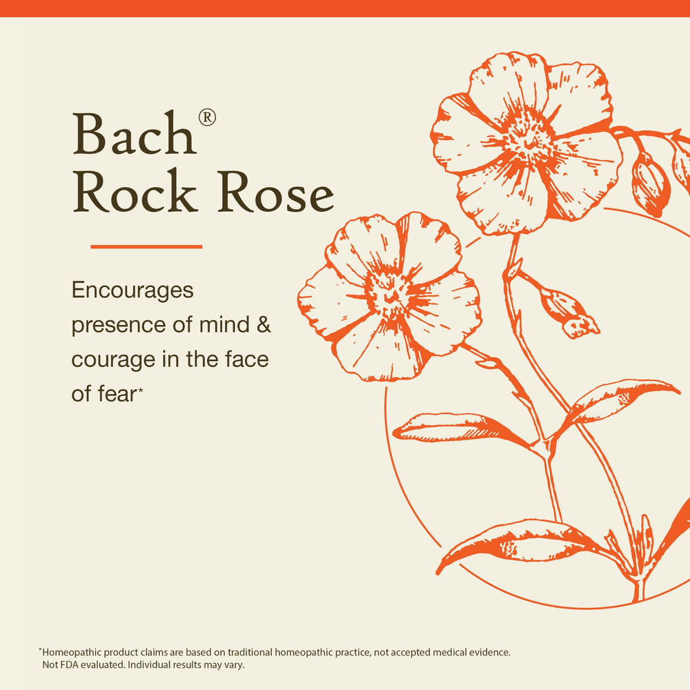 Illustration of Rock Rose for emotional balance and courage
