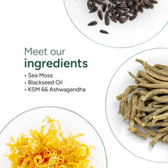 KSM-66 Ashwagandha with ROOT LABS Sea Moss Gummies