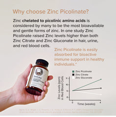 Chelated zinc picolinate and magnesium icons illustrating absorption