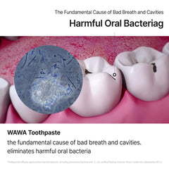 Gum health and whitening concept with Wawa toothpaste