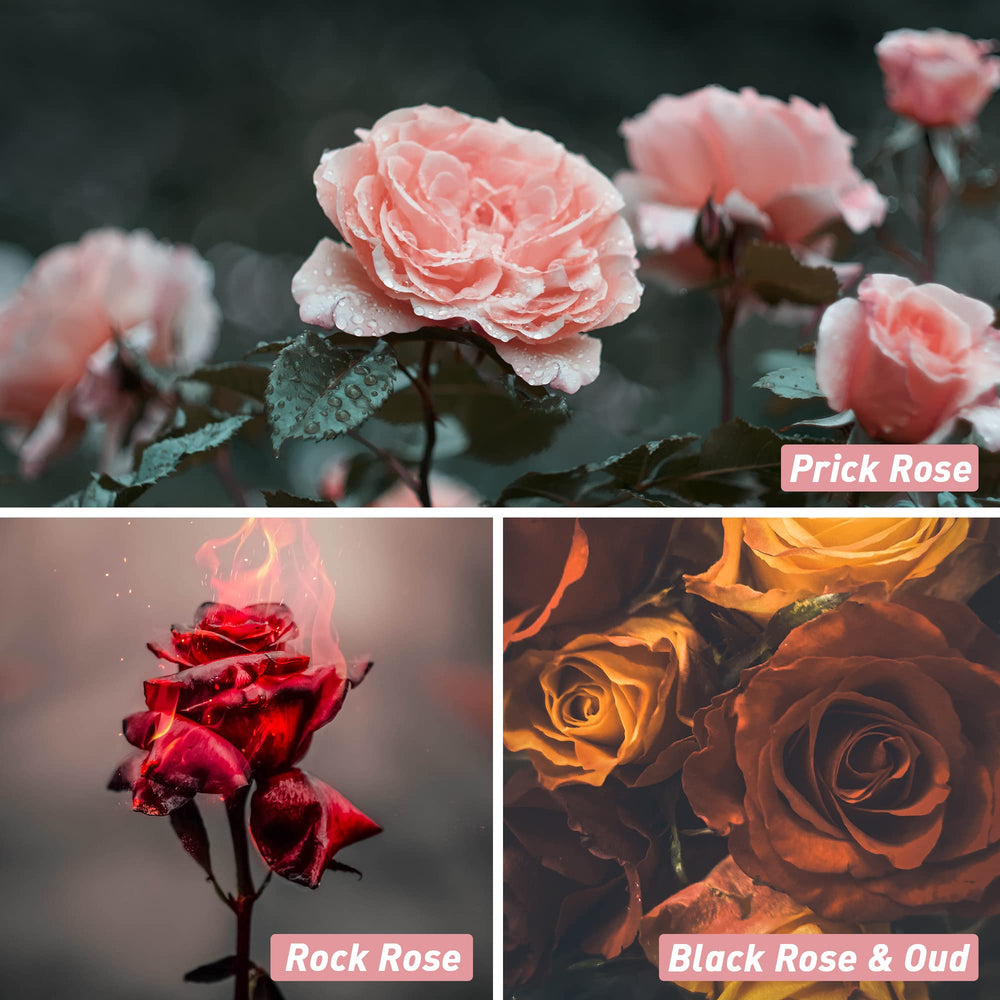 Prick Rose fragrance oil bottle in Rose Fragrance Oil Set by ESSLUX
