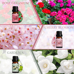 Rose Geranium fragrance oil