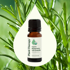 Rosemary essential oil dropper dispensing oil