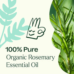 Rosemary essential oil with shampoo for hair care
