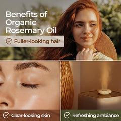 Diffuser with organic rosemary essential oil