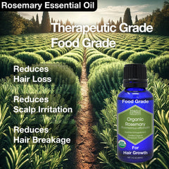 Rosemary oil used in cooking for flavor