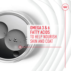 Graphic highlighting the glossy coat benefit