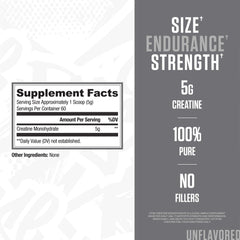 Scoop of creatine monohydrate powder