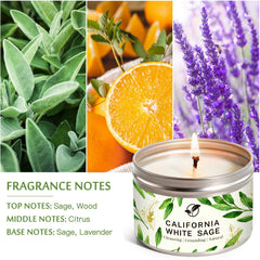 Fragrance notes: sage, citrus, and lavender