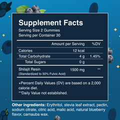 Two blueberry-flavored Shilajit gummies showing 1500 mg per 2-gummy serving
