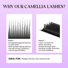 Camellia curls (B–DD) suit wispy to dramatic looks.