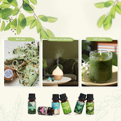 SalKing Nature Fragrance Oils Gift Set packaging with six scents