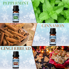 Diffuser with SALKING winter fragrance oils