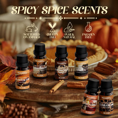 Cinnamon fragrance oil 6x10ml by SALUBRITO