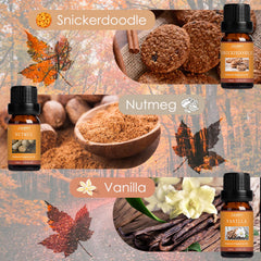 Pumpkin Spice scented oil from SALUBRITO Fall Fragrance Oils Set
