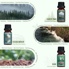 Rain fragrance oil bottle from SALUBRITO Nature Oils Set