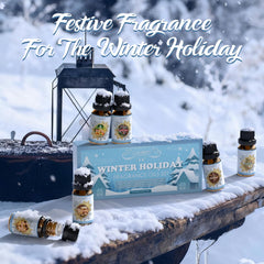 SALUBRITO Winter Fragrance Oils Set with Cinnamon scent